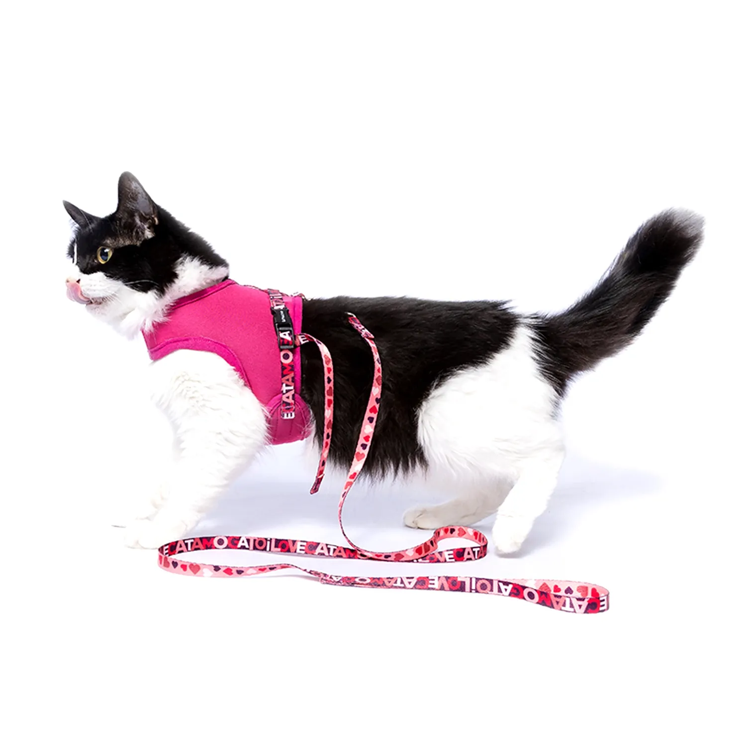 Peitoral e Guia Cat Neoprene Lovers Tchucoo